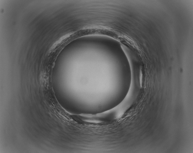 X0000083610872200702121113