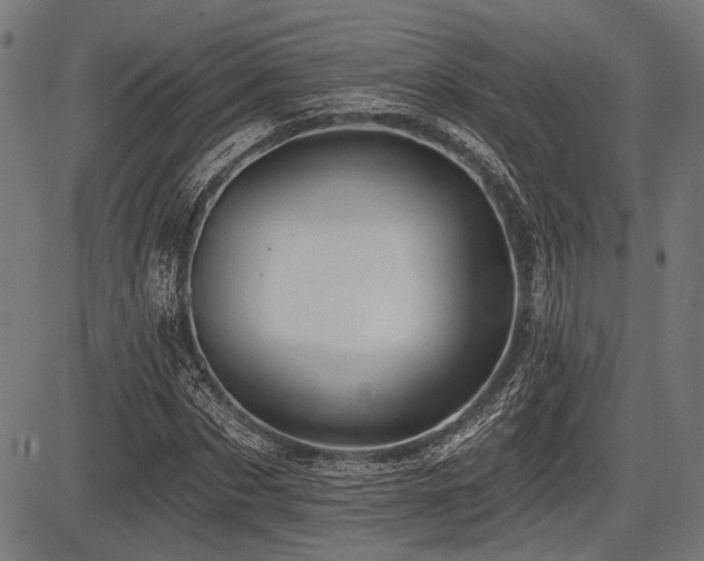 X0000083610873200702121113