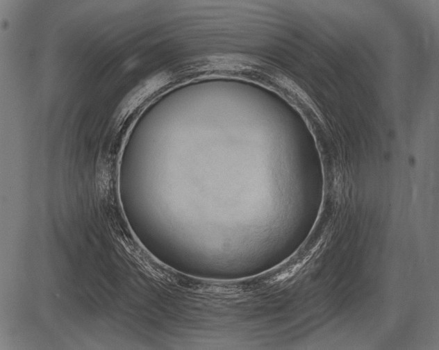 X0000083610874200702121112