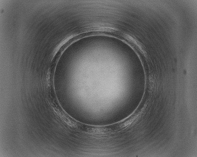 X0000083610875200702121112