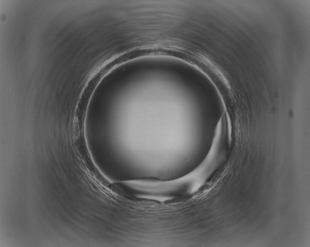 X0000083610876200702121112