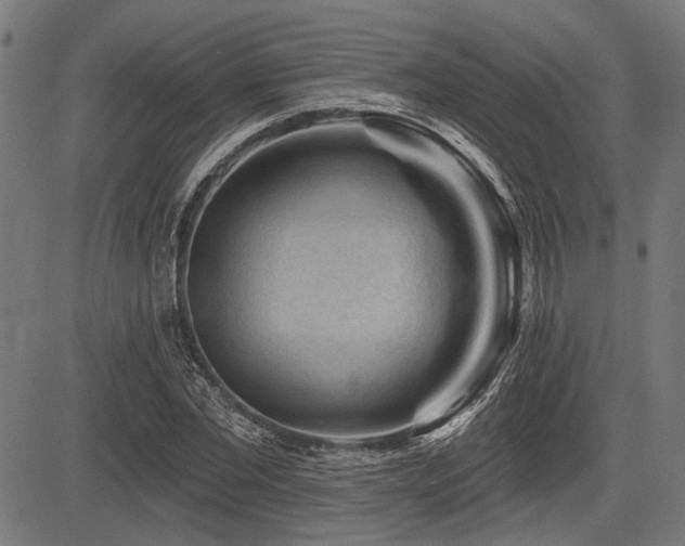 X0000083610877200702121112