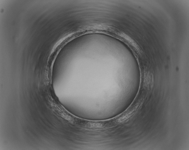 X0000083610878200702121112