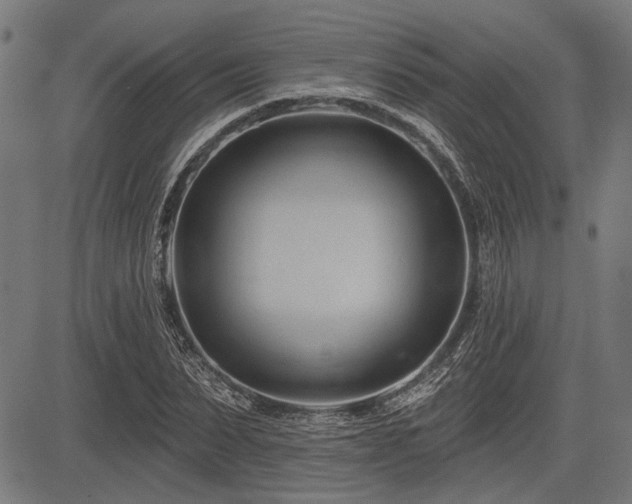 X0000083610879200702121112