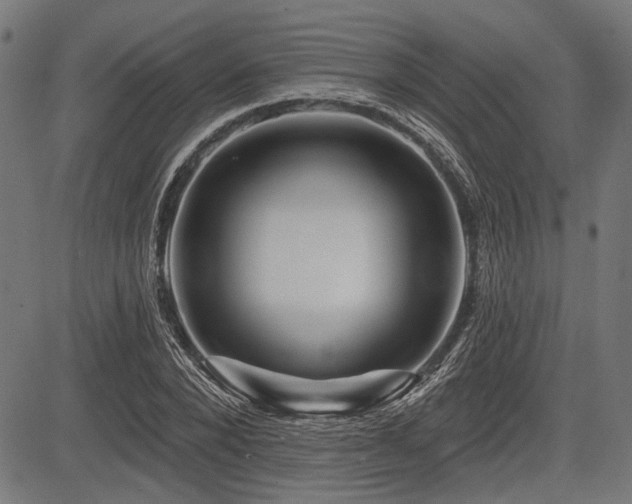 X0000083610880200702121112