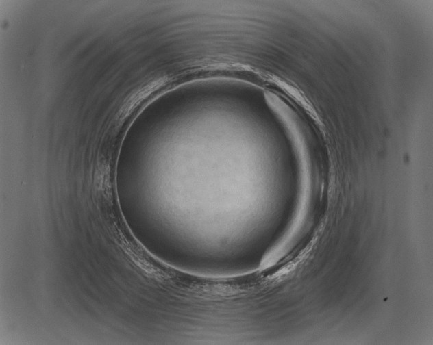 X0000083610881200702121112