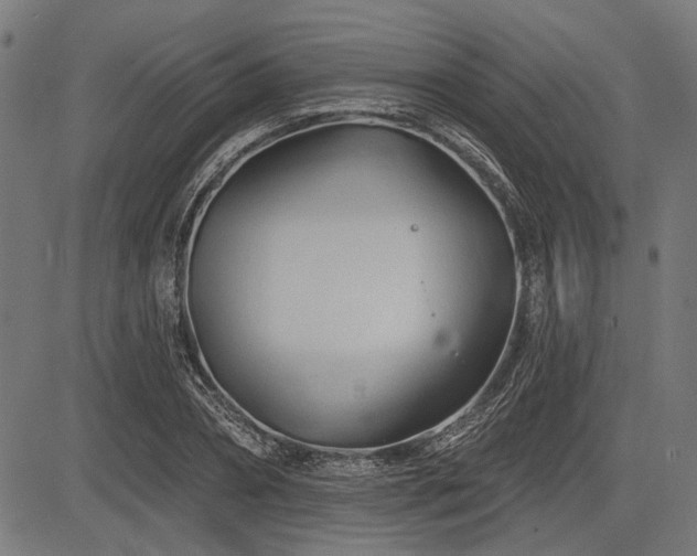 X0000083610882200702121112