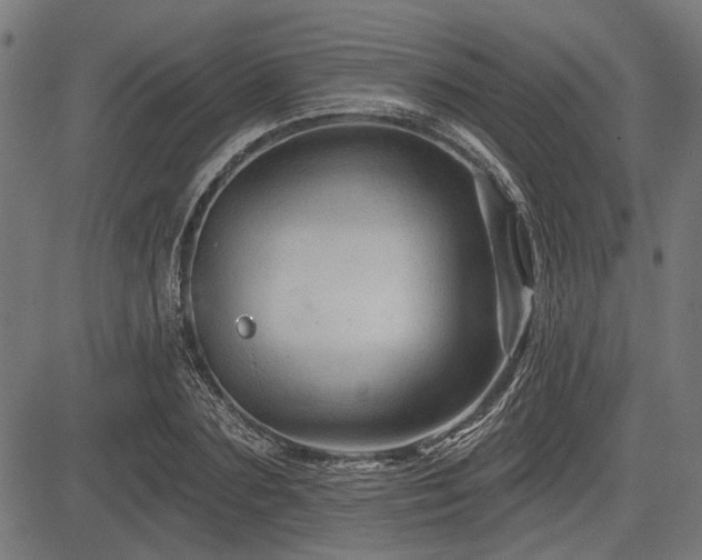 X0000083610883200702121112