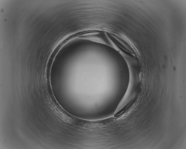 X0000083610884200702121112