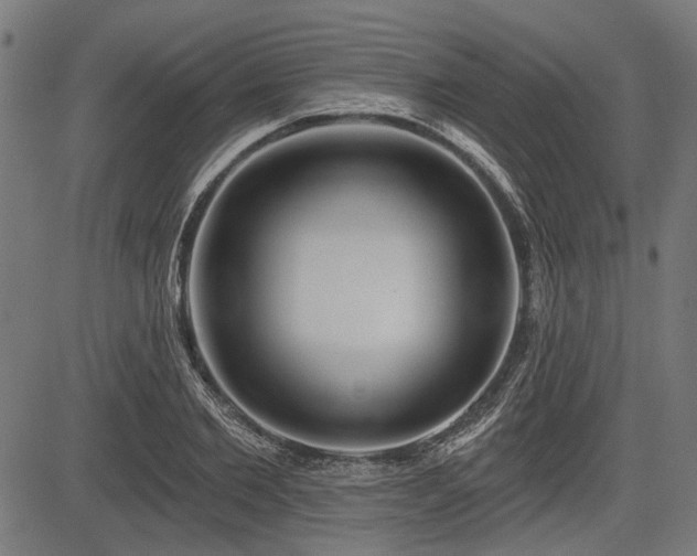 X0000083610885200702121112