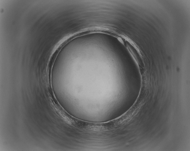 X0000083610886200702121112