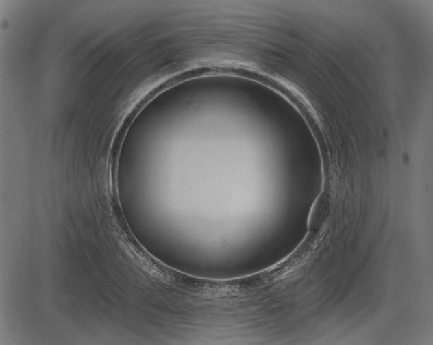 X0000083610887200702121112