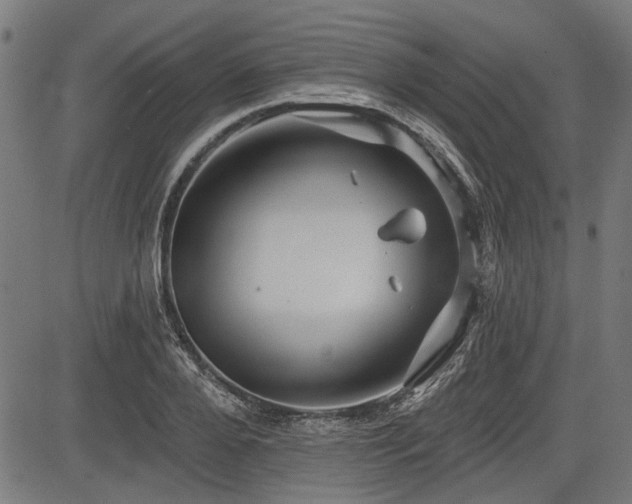 X0000083610888200702121112