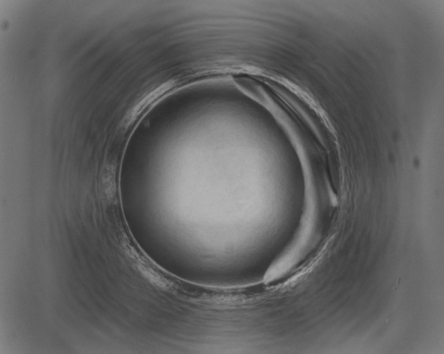 X0000083610889200702121112