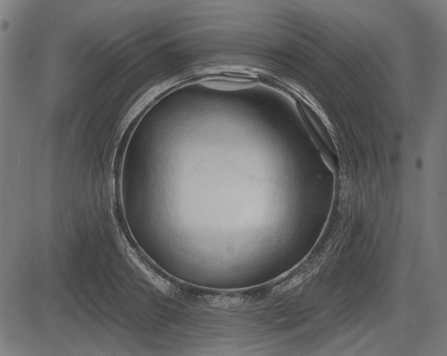 X0000083610890200702121112