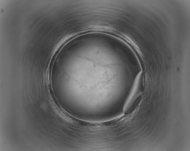 X0000083610891200702121112