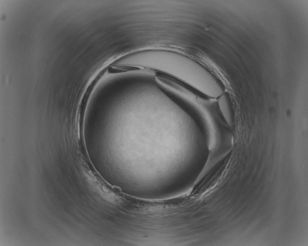 X0000083610892200702121112