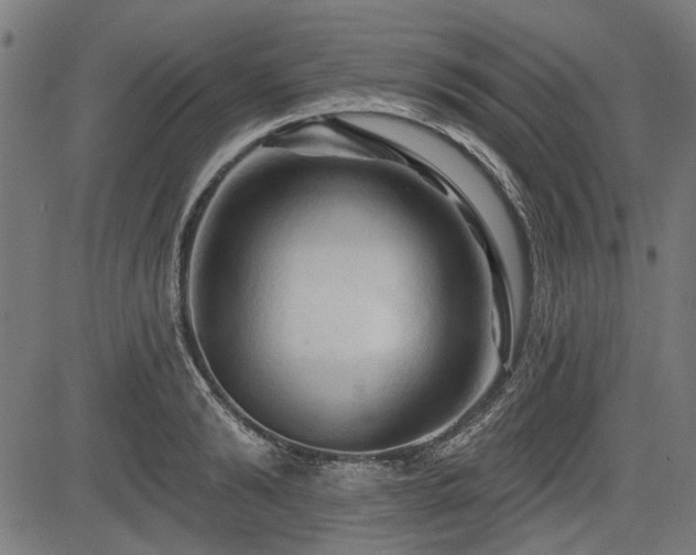 X0000083610894200702121112