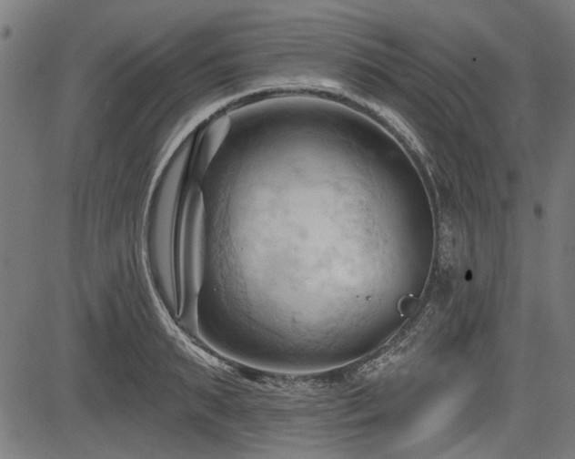 X0000083610895200702121112