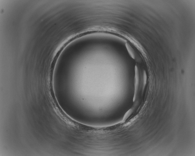 X0000083610896200702121112