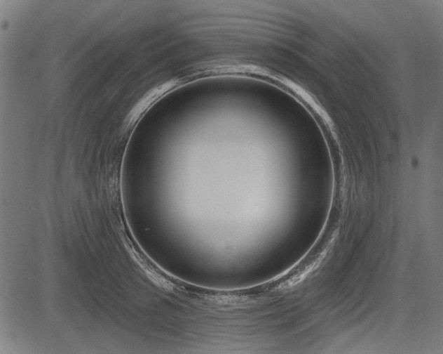 X0000083610897200702121112