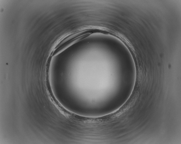 X0000083610898200702121112