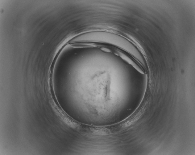 X0000083610899200702121112