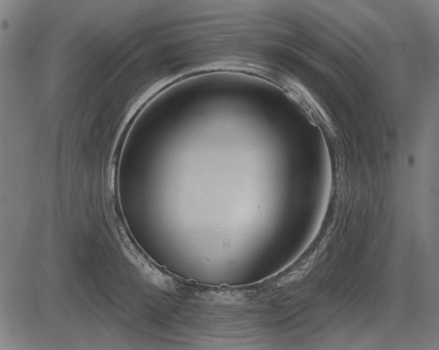 X0000083610900200702121112