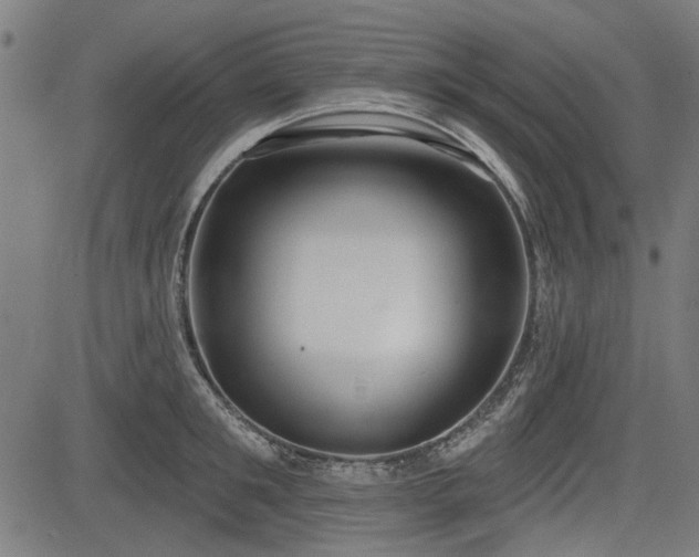 X0000083610901200702121112