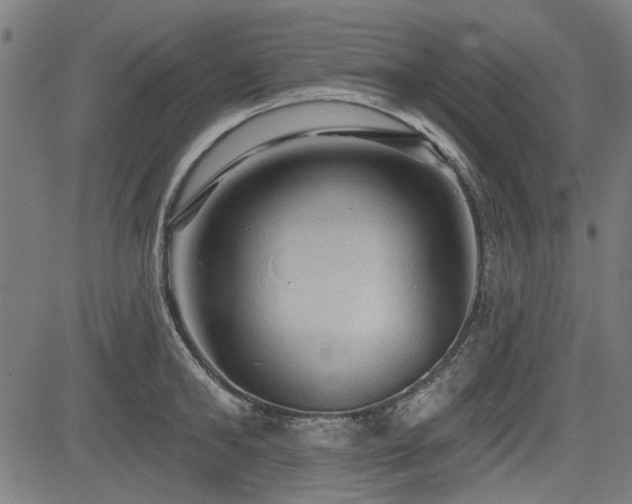 X0000083610902200702121112