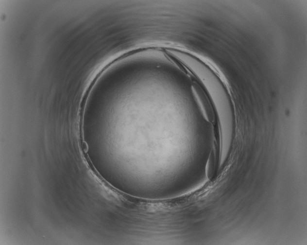 X0000083610903200702121112