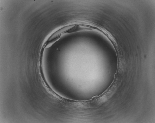 X0000083610904200702121112