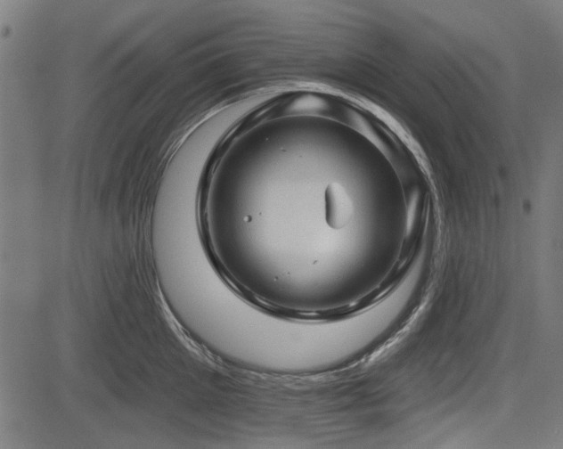 X0000083610905200702121112