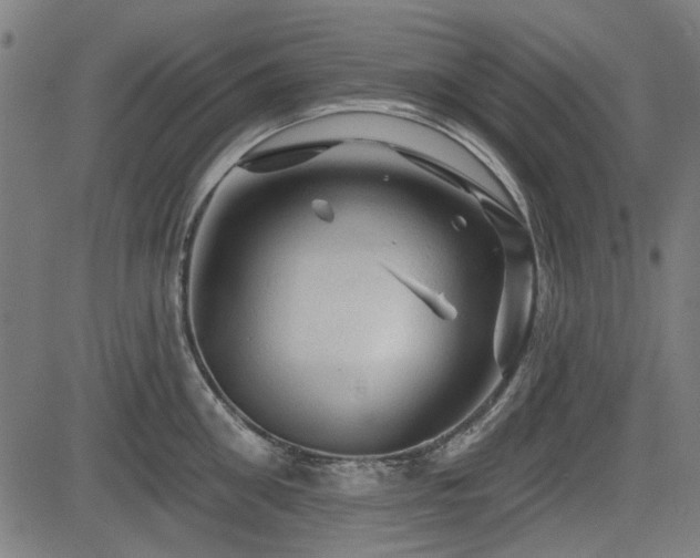 X0000083610906200702121112