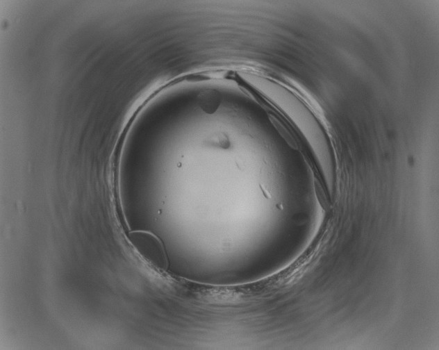 X0000083610907200702121112