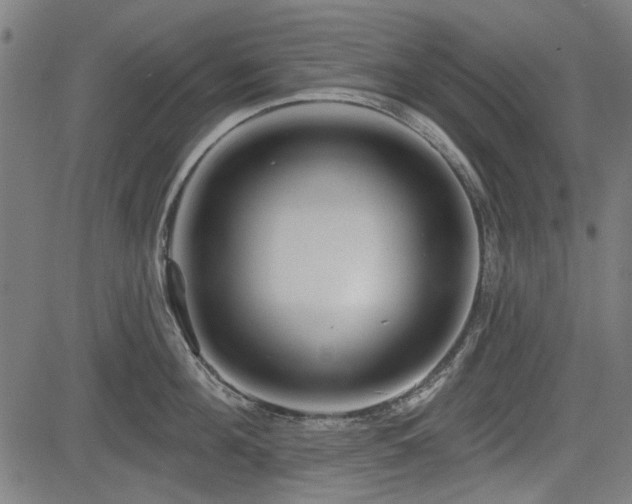 X0000083610908200702121112