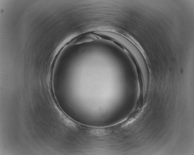 X0000083610909200702121112