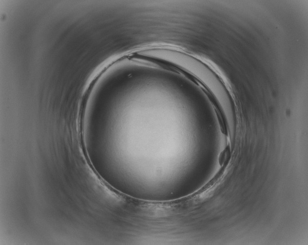 X0000083610910200702121112