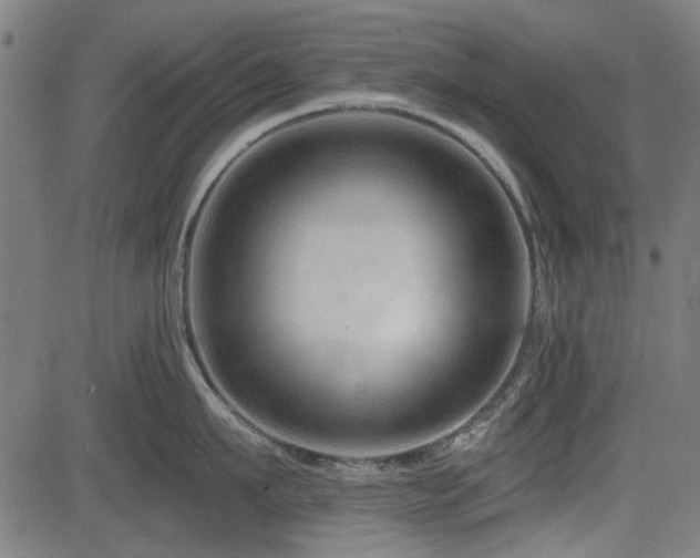 X0000083610911200702121112