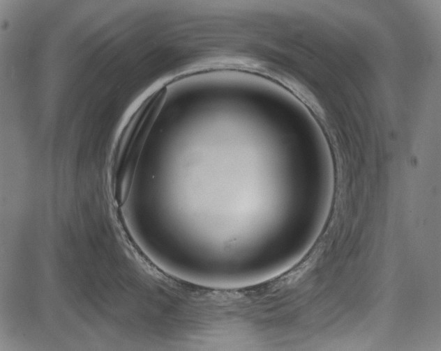 X0000083610912200702121112