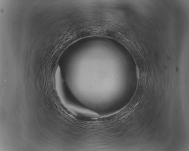 X0000083610913200702121111