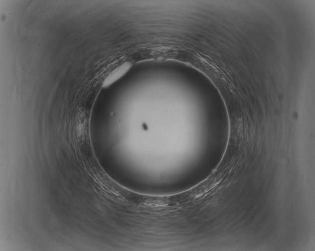 X0000083610914200702121111