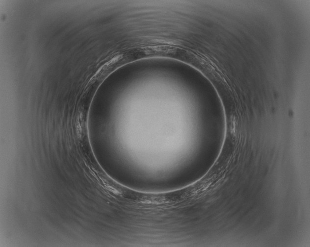 X0000083610915200702121111