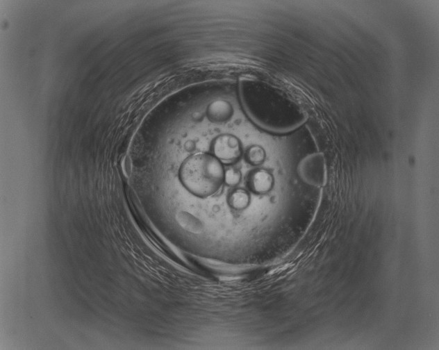 X0000083610917200702121111