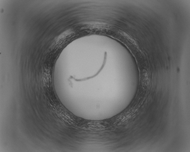 X0000083610918200702121111