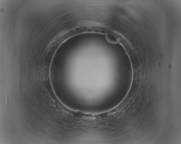 X0000083610919200702121111