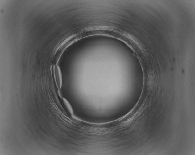 X0000083610921200702121111