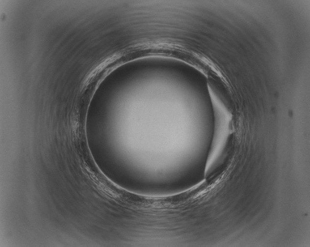 X0000083610922200702121111