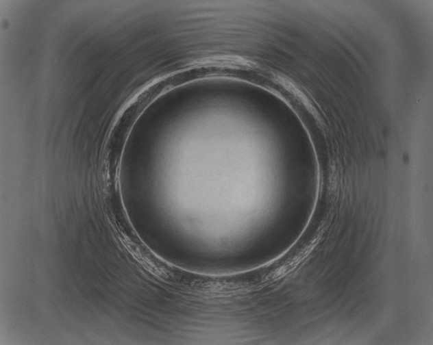 X0000083610923200702121111