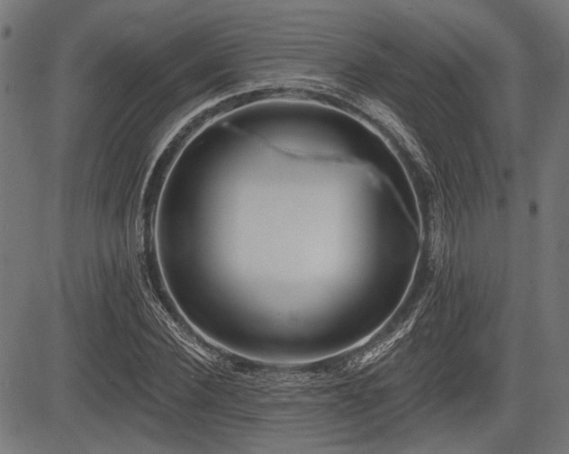 X0000083610924200702121111